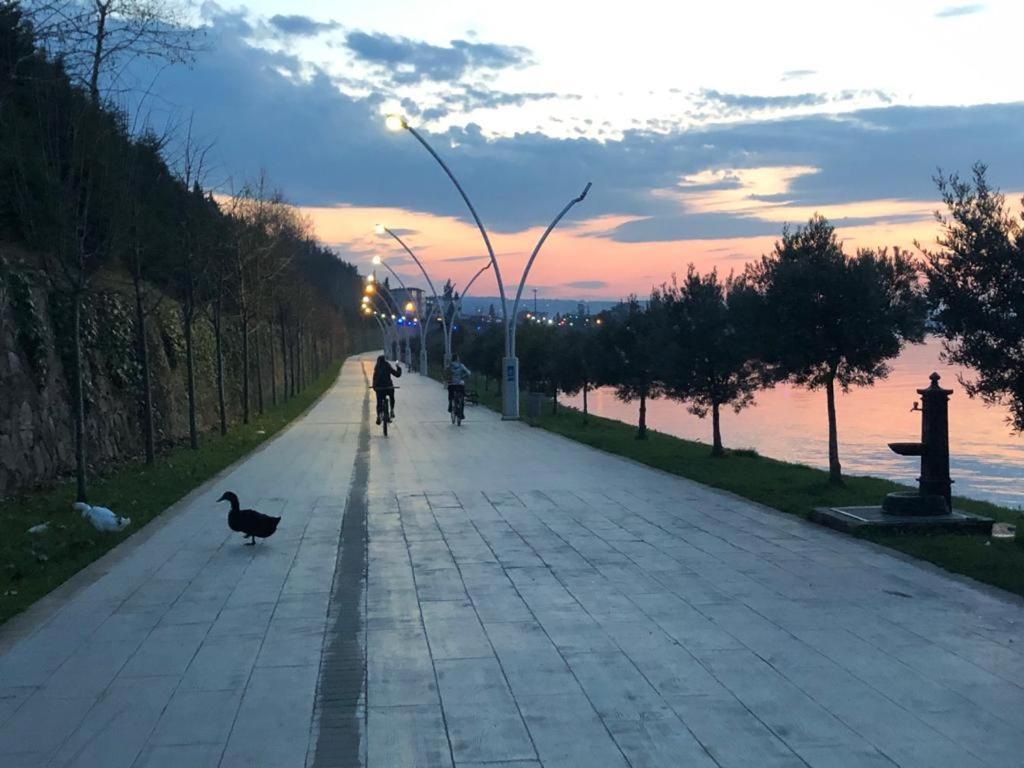 Blue Pier Hotel كوجايِلِ المظهر الخارجي الصورة